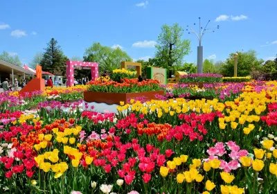 🎡 크로스랜드 오야베 이미지 9